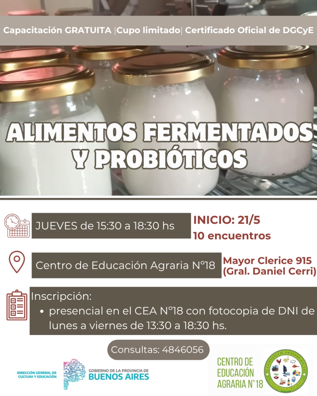 fotos-postulaciones/1777996899_Alimentos fermentados  y probioticos.jpeg